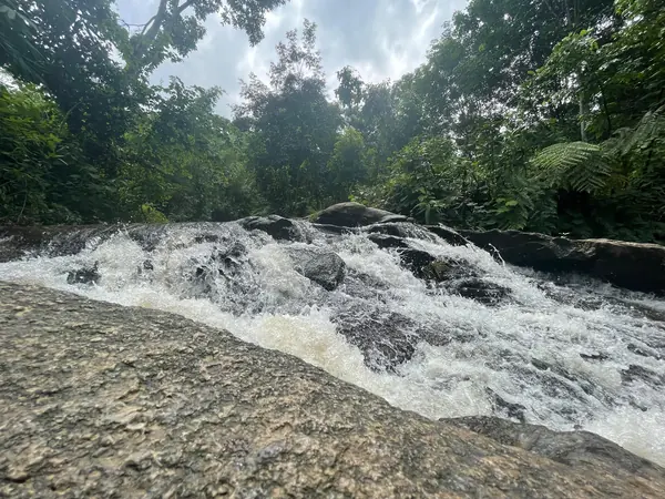 Water flowing over rocks in the forest