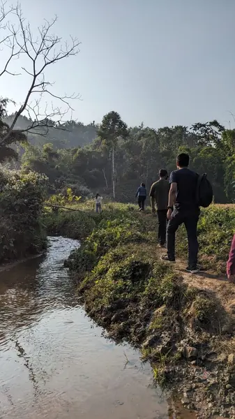 Following the stream through the greenery