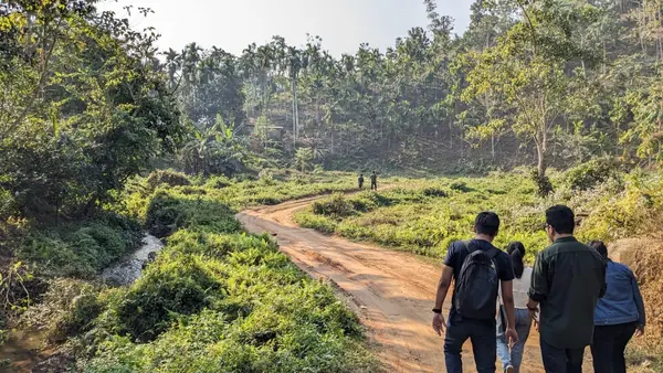 A winding trail through the green valley
